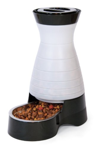 PetSafe Healthy Pet Gravity Dog and Cat Food Station, Stainless Steel Bowl, Holds Dry Dog or Cat Food