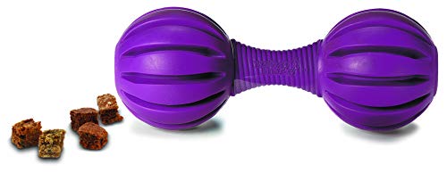 PetSafe Busy Buddy Waggle Dog Toy