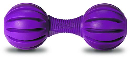PetSafe Busy Buddy Waggle Dog Toy