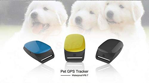 Smartphone Small Waterproof Cat or Dog GPS Tracker Pet Locator Mini Location Device