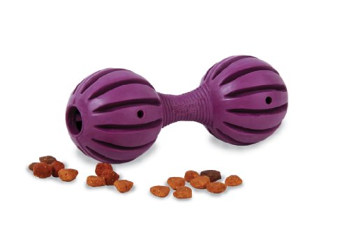 PetSafe Busy Buddy Waggle Dog Toy