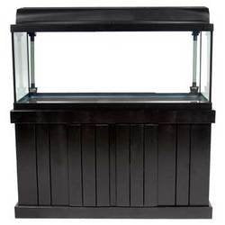 48x24 shop aquarium stand