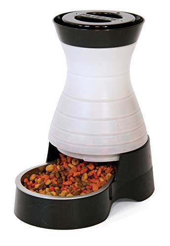 PetSafe Healthy Pet Gravity Dog and Cat Food Station, Stainless Steel Bowl, Holds Dry Dog or Cat Food