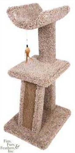 Ware Manufacturing Kitty Cradle and Corrugated Scratch Post