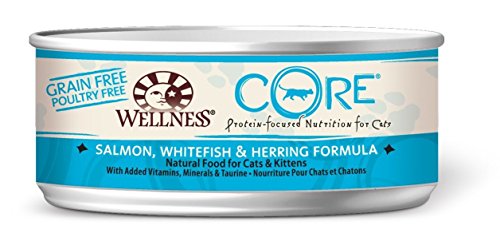 Wellness 7905 Core Cat Fish 24/5.5 Oz