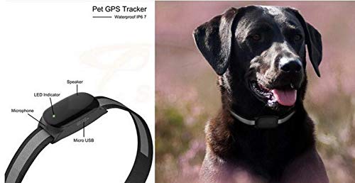 Smartphone Small Waterproof Cat or Dog GPS Tracker Pet Locator Mini Location Device