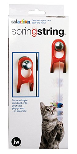 JW Pet Company Spring String Cat Toy