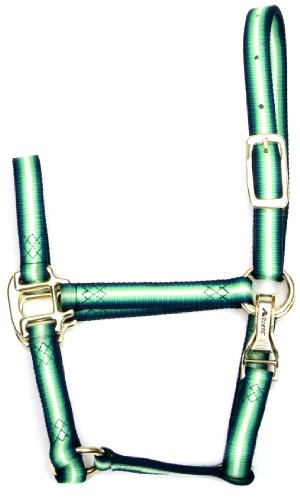 Accent 3/4-Inch Wide Graduated Premium Halter for Weanlings, 300 to 500-Pound, Green