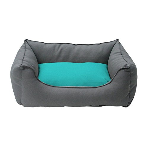 Dog Gone Smart 19332132 Lounger Teal with Graphite/Blackberry 19x15