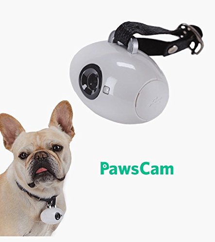 PawsCam Pet dog Camera collar cam Pet
