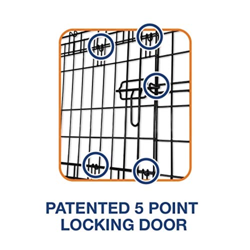 Precision Pet by Petmate 2 Door Great Crate with Precision Lock System Wire Dog Crate, 6 Sizes