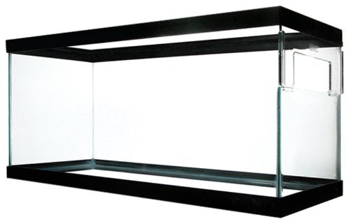 Zilla Black Turtle Tank
