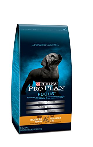 Purina ProPlan Focus Chicken & Rice Puppy Food 15.4KG