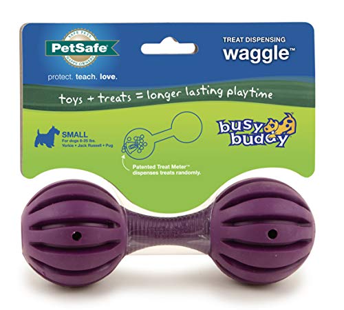 PetSafe Busy Buddy Waggle Dog Toy