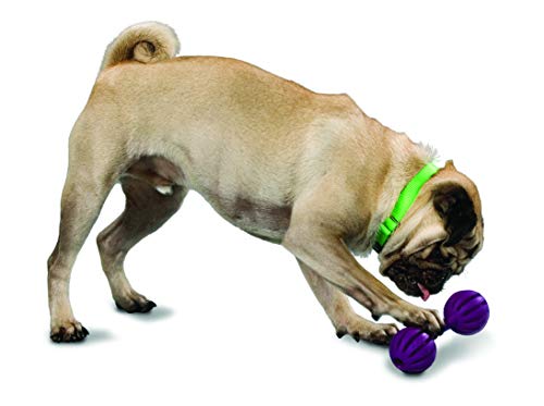 PetSafe Busy Buddy Waggle Dog Toy