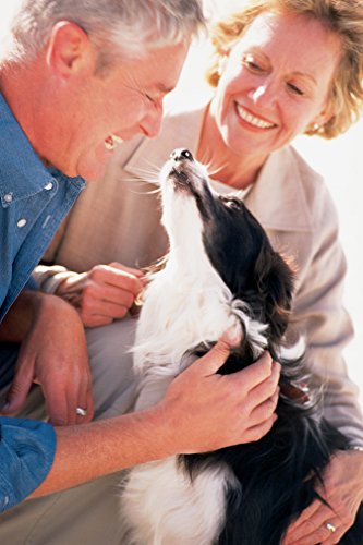 PetSafe Ultrasonic Remote Trainer for Dogs and Cats