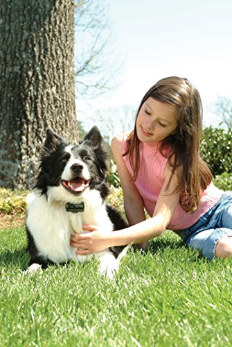 PetSafe Deluxe Bark Control Collar (PDBC-300) for Dogs 8 lb. and Up, Waterproof, 3 Modes of Static Correction