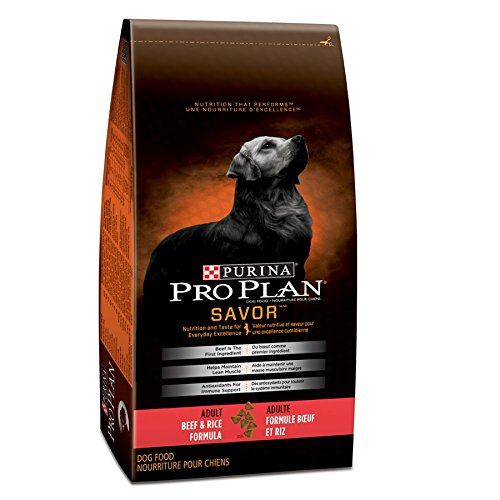 Purina Pro Plan Adult Beef & Rice Formula Dog Food 17KG