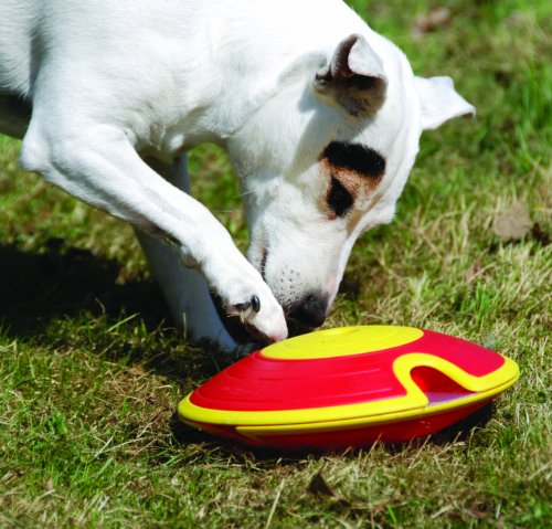 Nina Ottosson Dog Treat Maze