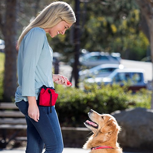 The Company of Animals Guardian Gear In CLIX Whizzclick Trainer
