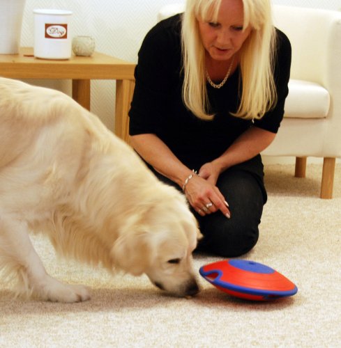 Nina Ottosson Dog Treat Maze