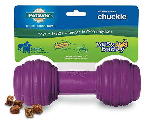 PetSafe Busy Buddy Chuckle Dog Toy