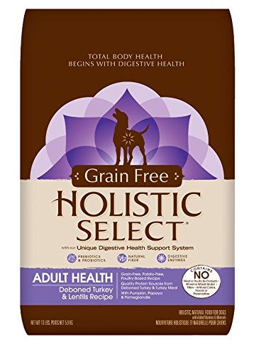 Holistic Select 47179 Grain Free Deboned Turkey and Lentil Adult Dog Food (13LB)