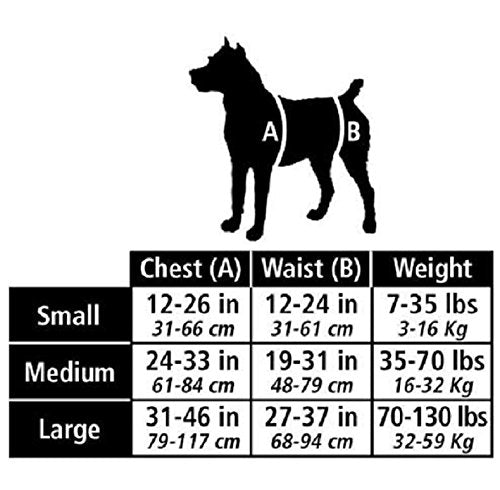 PetSafe Solvit CareLift Rear-Only Lifting Harness, Dog Lifting Harness for Rear Legs