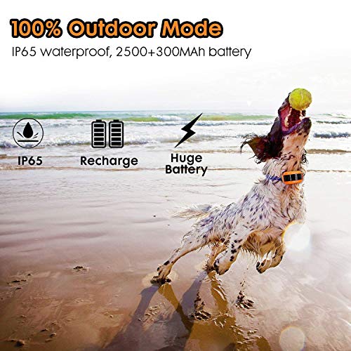 Wireless Dog Fence System with Rechargeable Transmitter and Rechargeable Collar Receiver - Safe & Easy Install WiFi Radio Electric Dog Fence