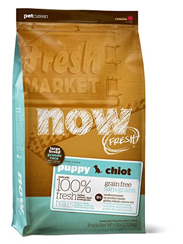 Petcurean 230-1412 Now Fresh Grain Free Large Breed Puppy Food (12LB (3))