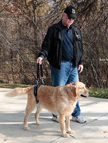 PetSafe Solvit CareLift Rear-Only Lifting Harness, Dog Lifting Harness for Rear Legs