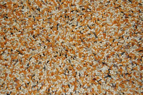 BPN10,BPN20 Economax Finch Bird Seed Mix Foods