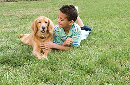 Petsafe In-Ground Radio Fence With Ultralight Receiver