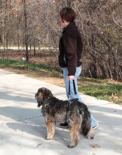 PetSafe Solvit CareLift Rear-Only Lifting Harness, Dog Lifting Harness for Rear Legs