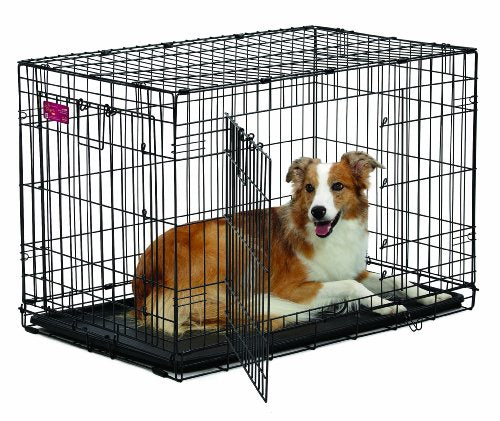 Midwest Life Stages A.C.E. Caisse de chien à une seule porte