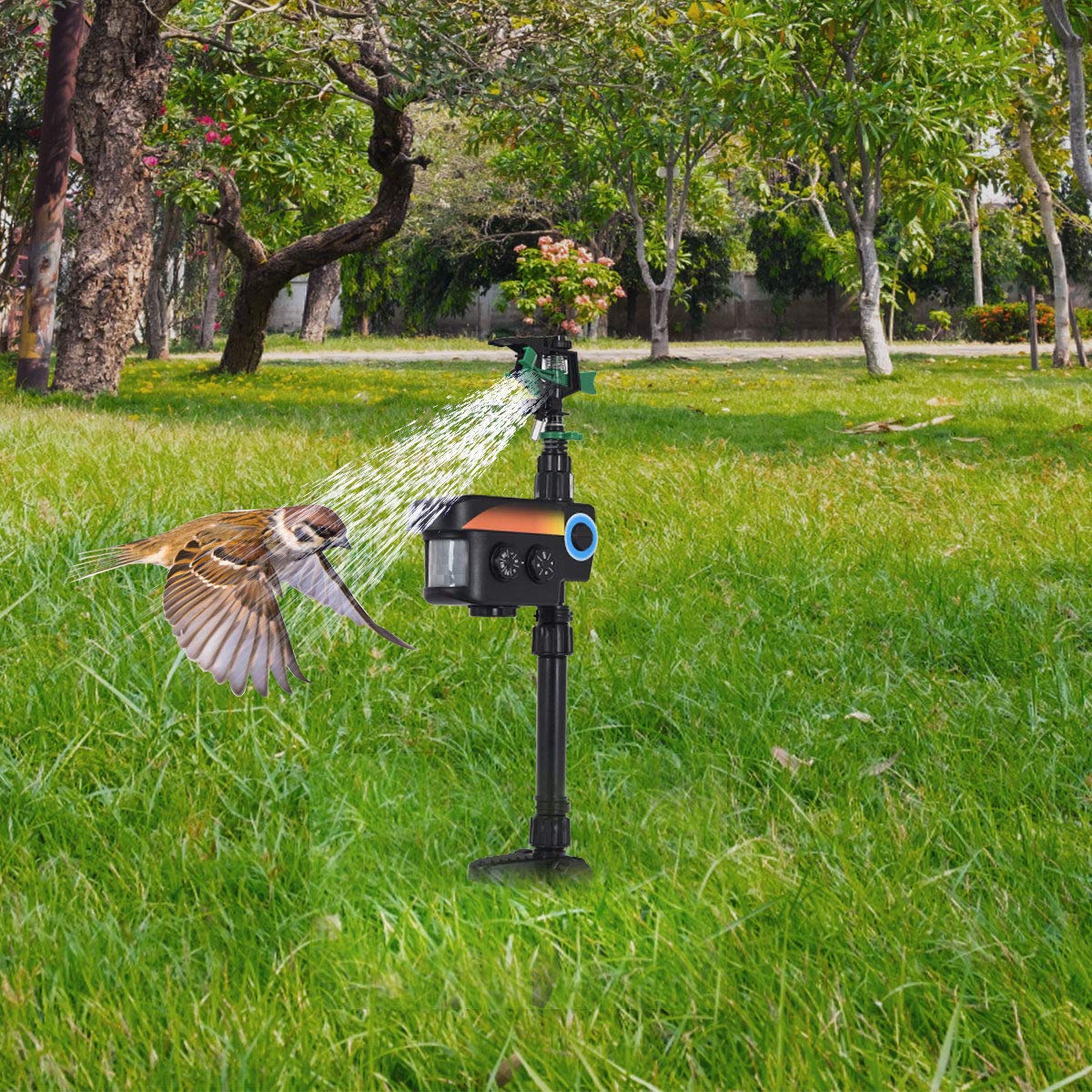 Scarecrow Motion Activated Animal Repellent