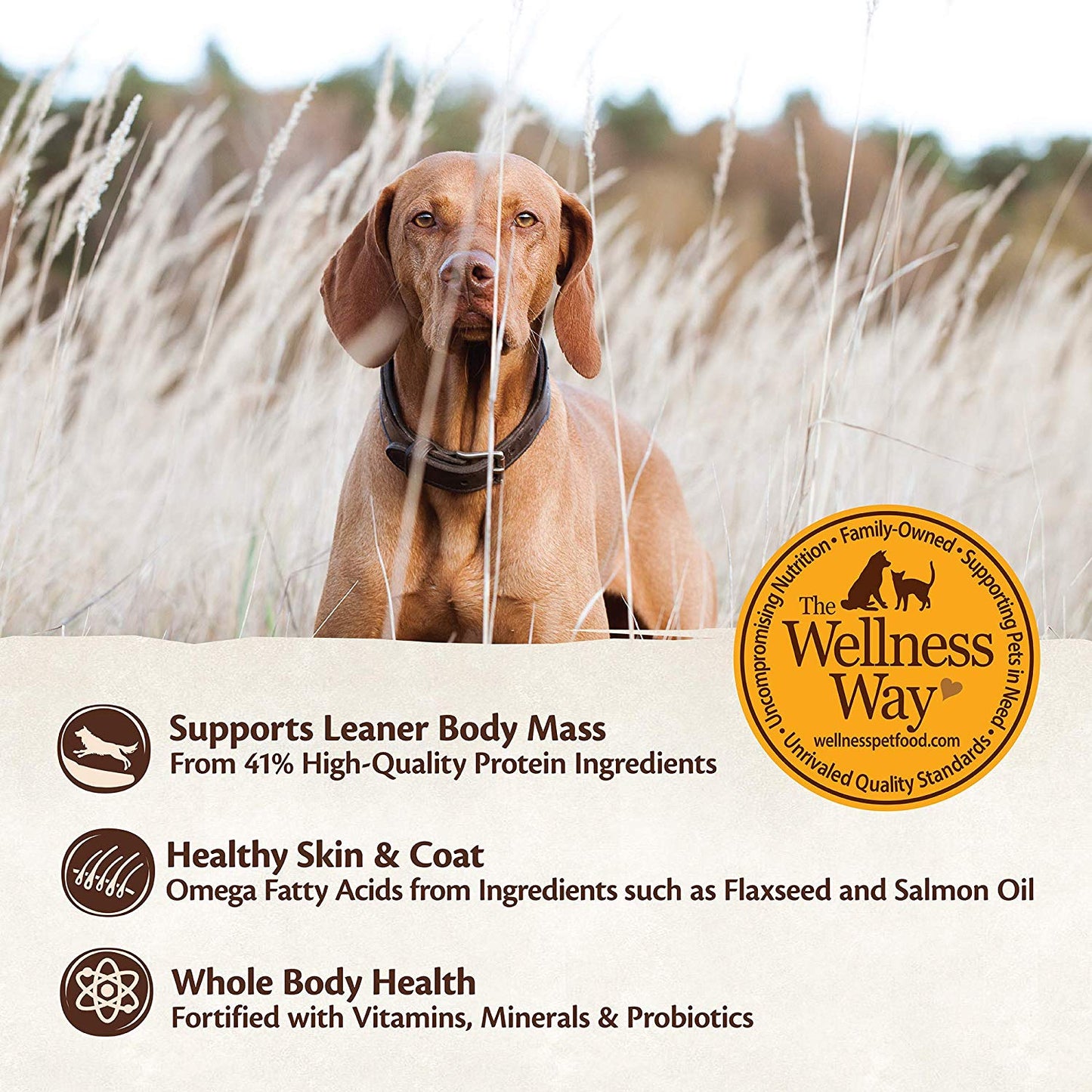 Wellness Core Natural Grain Free Dry Dog Food Ocean Whitefish, Herring & Salmon