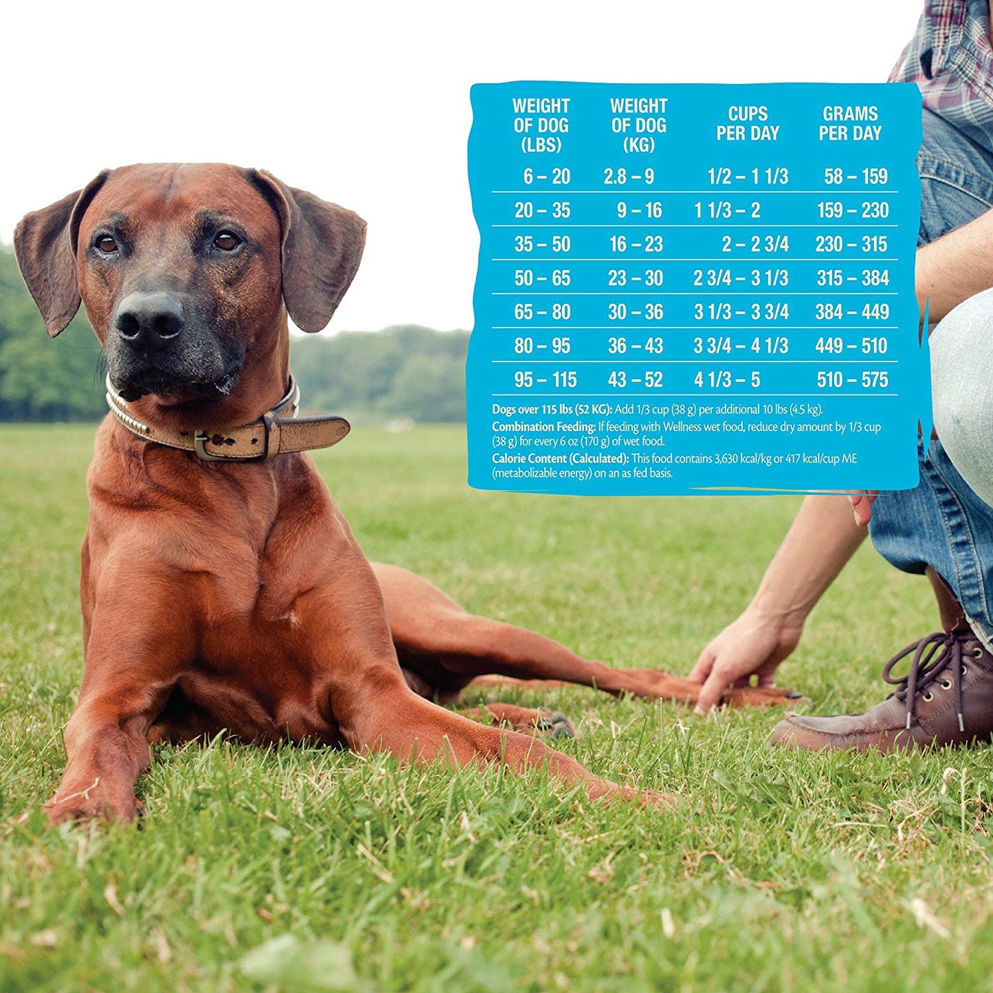Wellness Core Natural Grain Free Dry Dog Food Ocean Whitefish, Herring & Salmon