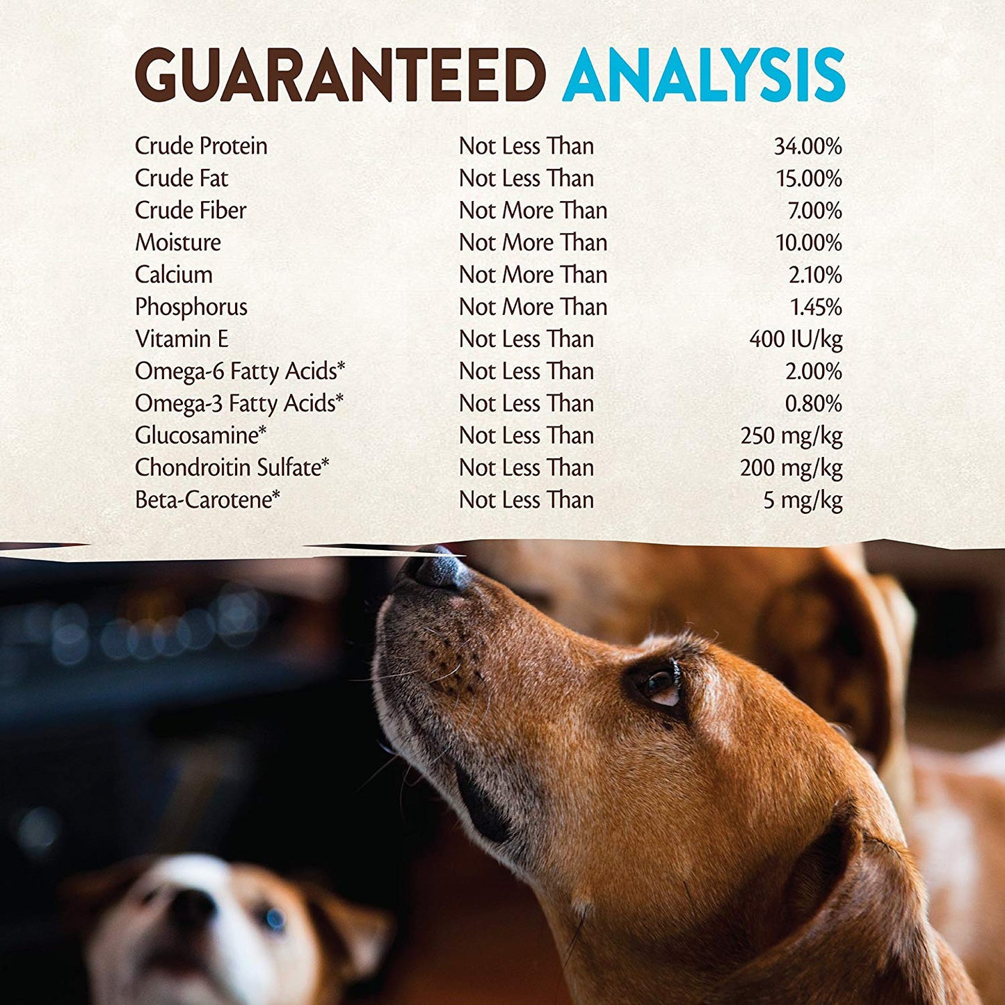 Wellness Core Natural Grain Free Dry Dog Food Ocean Whitefish, Herring & Salmon