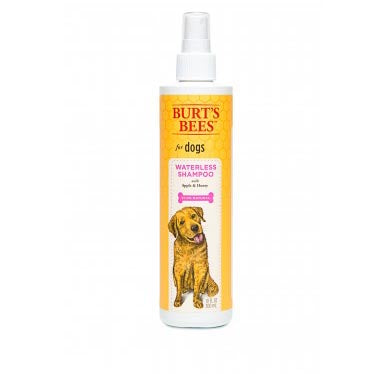 Shampoo - Waterless - Burt's Bees