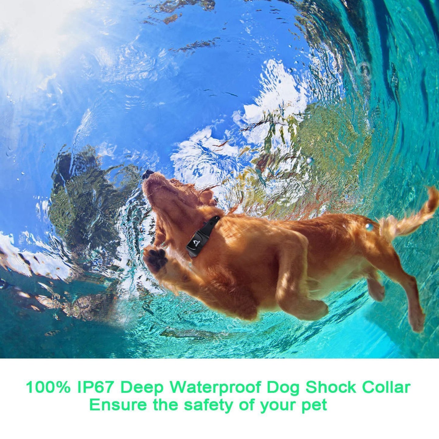Dog Training Collar, Dog Shock Collar with Remote 2500FT Shock Collar for Dogs IPX7 Waterproof Rechargeable w/Beep 99 Levels Vibrate Shock Modes Shock Collar for Small Dogs Medium Large Dogs