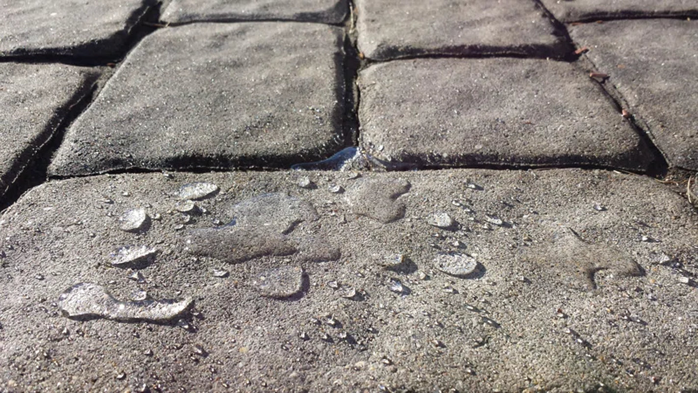 5 GAL Armour SX5000 WB Pro-Grade Water-Based Silane-Siloxane Water Repellent Concrete and Masonry Sealer