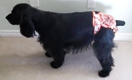 Female Dog Diaper | Britches | With Tail Opening |Brown Tie Dye Print-4
