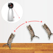 Smart Interactive Laser Cat Toy-3