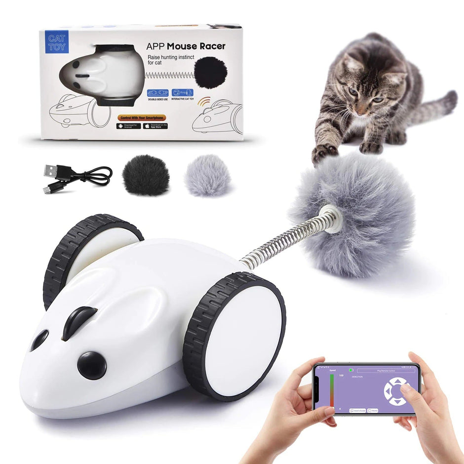 Smart App-Controlled Electric Mouse Cat Toy-4