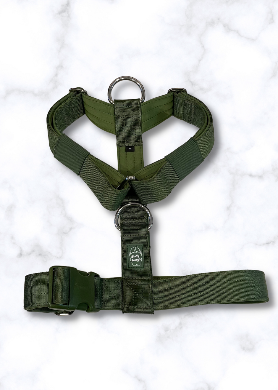 Y Strap Adventure Harness - Cactus Green-0