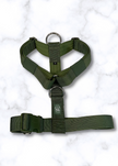 Y Strap Adventure Harness - Cactus Green-0