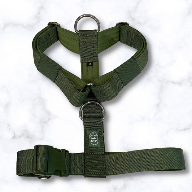 Y Strap Adventure Harness - Cactus Green-0