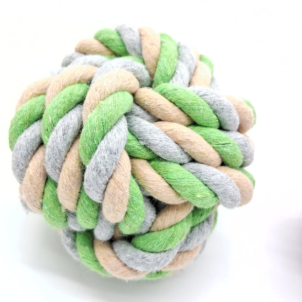 Fetch Ball-1