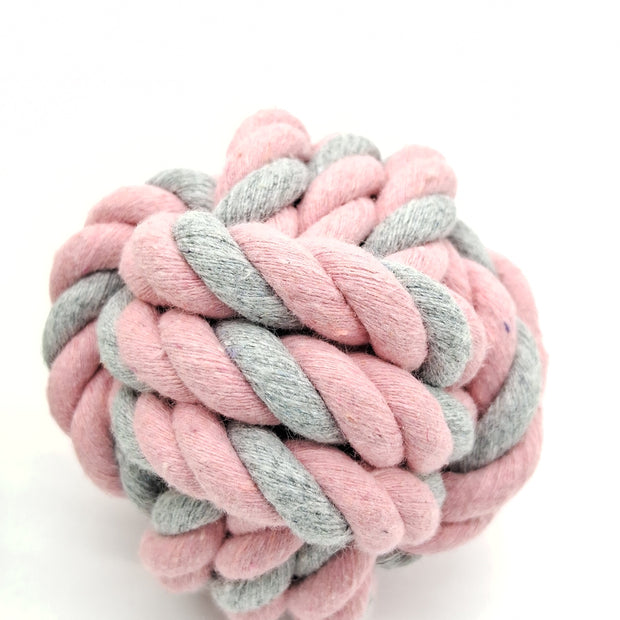 Fetch Ball-4